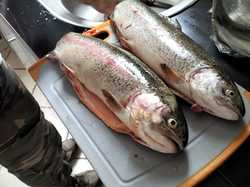 JOURNEE PECHE ABLEIGES