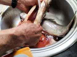 JOURNEE PECHE ABLEIGES