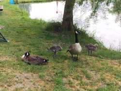 JOURNEE PECHE ABLEIGES