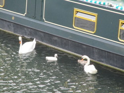 PHOTOS RANDONNEE CERGY