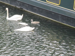 PHOTOS RANDONNEE CERGY