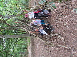 PHOTOS RANDONNEE CERGY