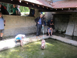 PHOTOS RANDONNEE CERGY